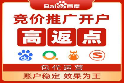 探索SEM代运营公司的经典案例与策略